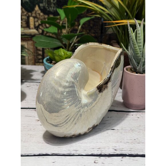 Pearlized Nautilus Shell Planter Or Display Accent - Picture 5 of 8